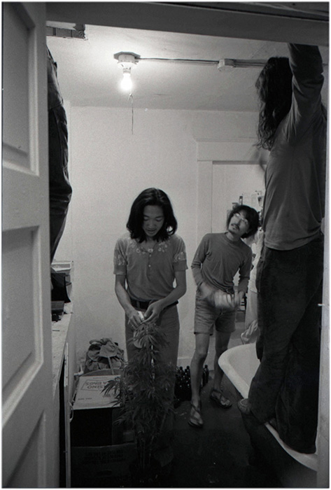 Paul Wong, Yoshi and Charles Rea with pot plant, 4196 Main Street, c. 1976, Courtesy of Kazumi Tanaka